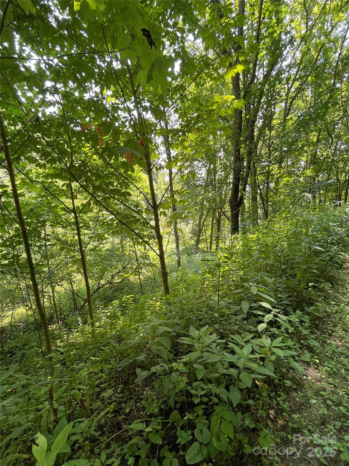 TBD Fletcher Branch Road