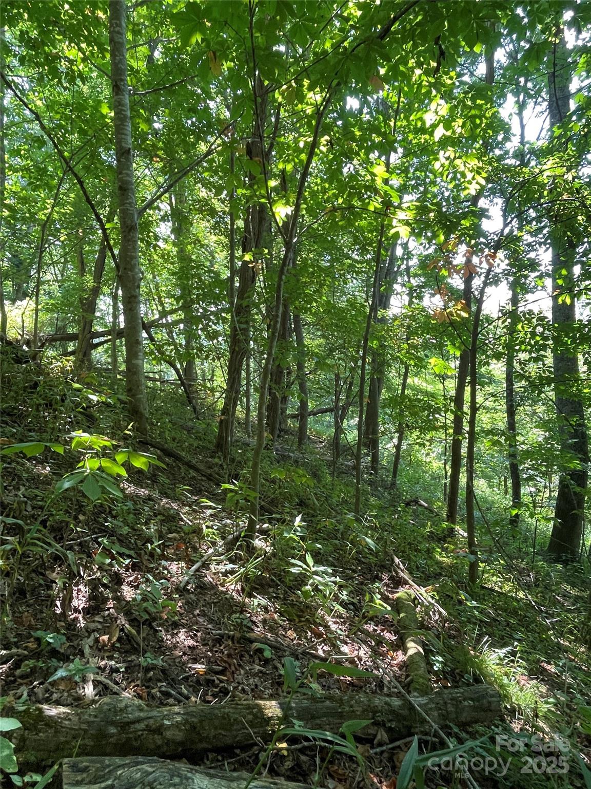 TBD Fletcher Branch Road