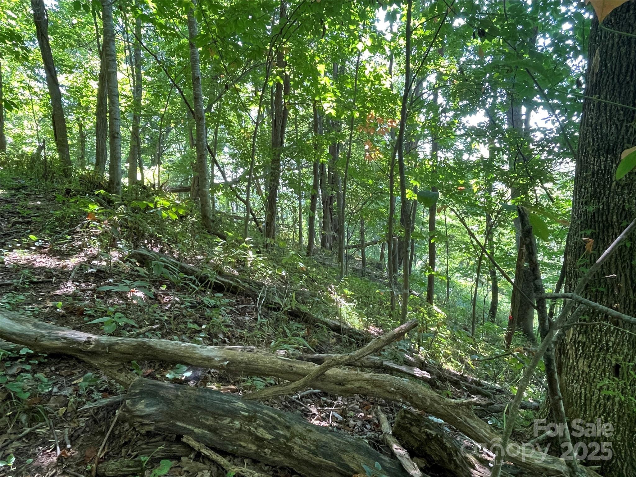 TBD Fletcher Branch Road