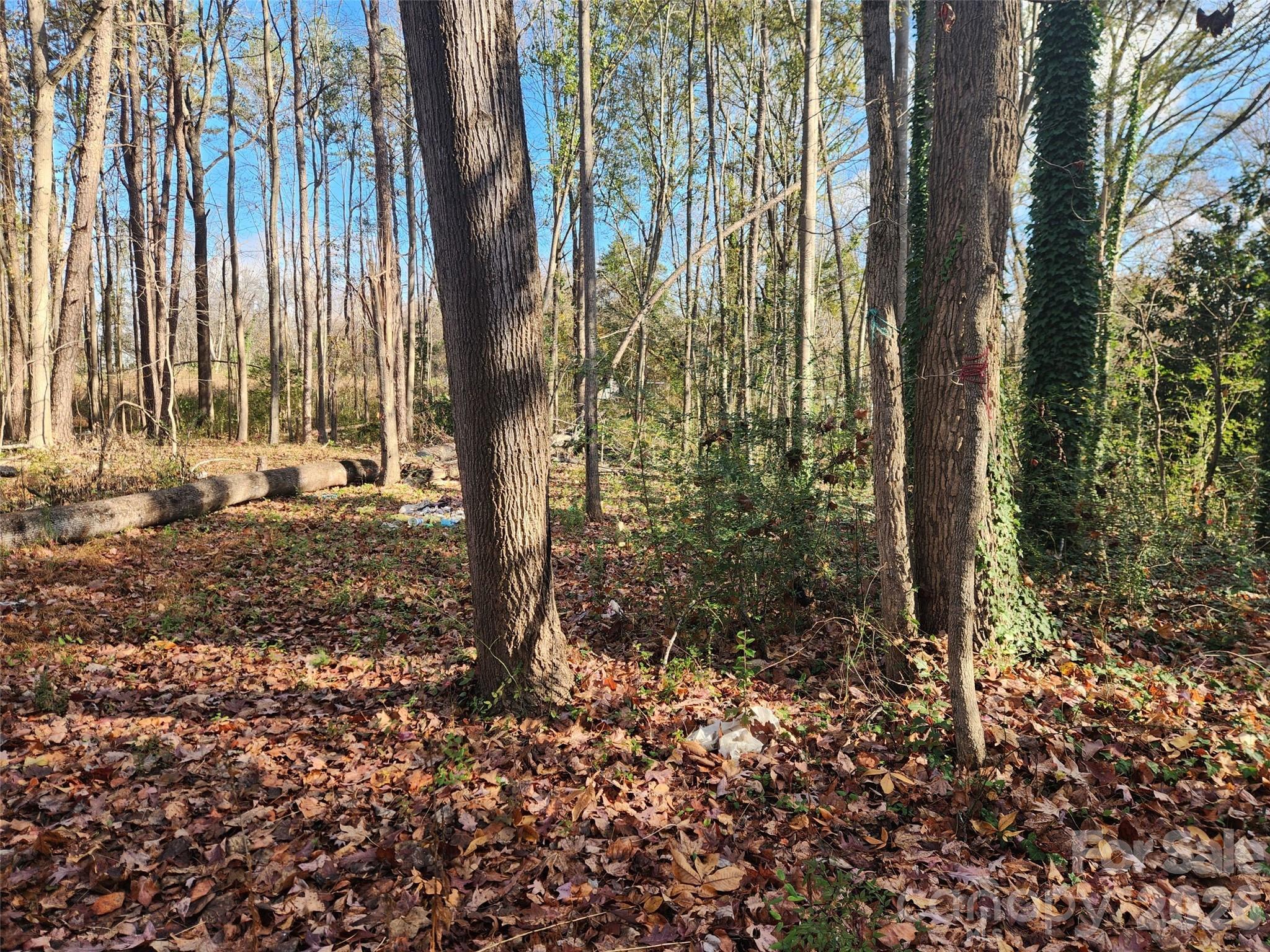 0 Wellman Street 182