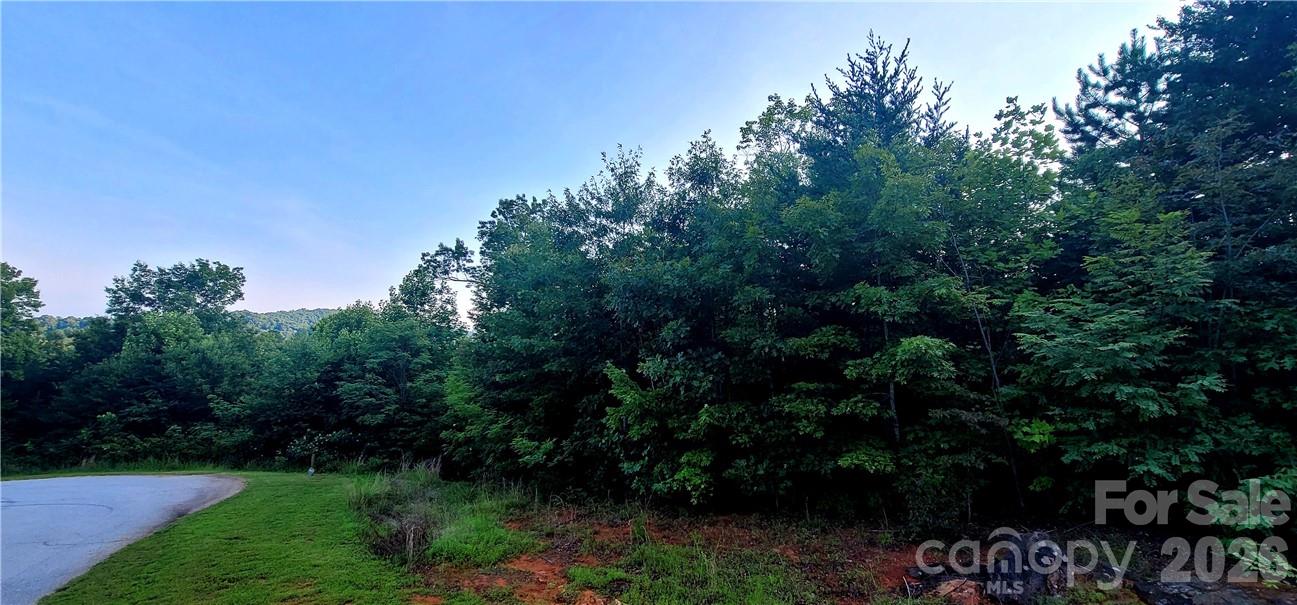 Lot 59 Bear Cliff Way