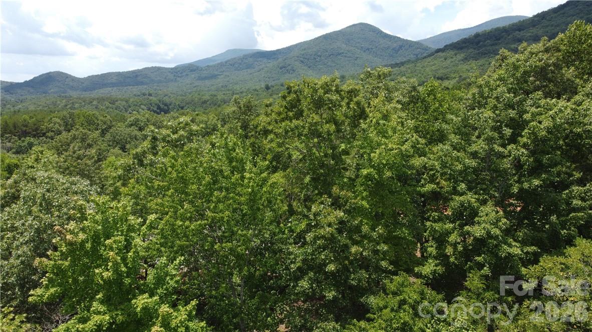 Highlands of Lake Lure - Land