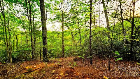 Photo of Lot 59 Bear Cliff Way, Lake Lure, NC 28746 (MLS # 4359951)