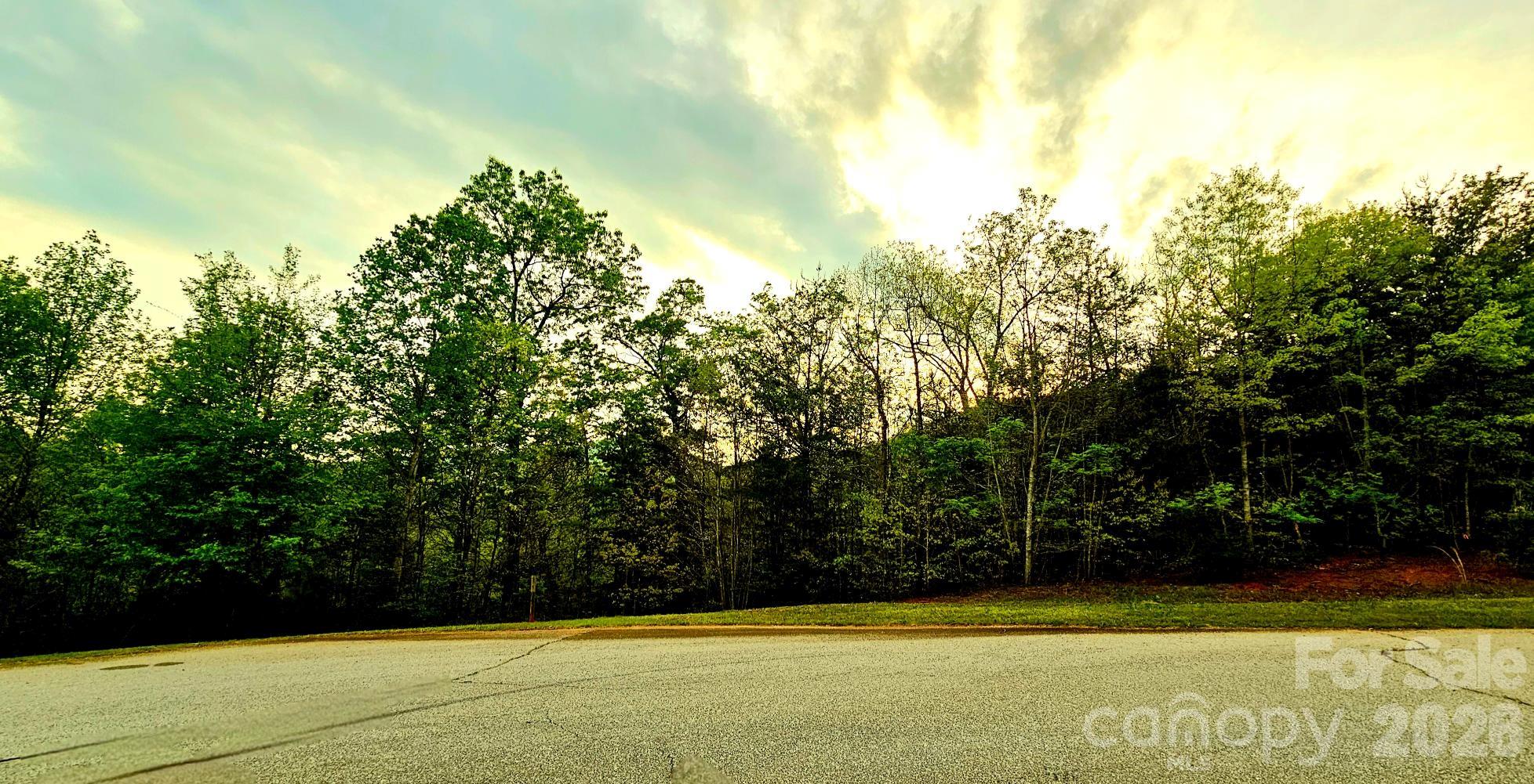 Lot 59 Bear Cliff Way