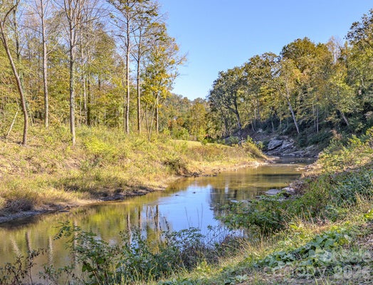 8 RIVERBEND DR, ASHEVILLE, NC 28805 - Image f4adcf692a92027cdcfd4ad0e1efa74c/2829618164