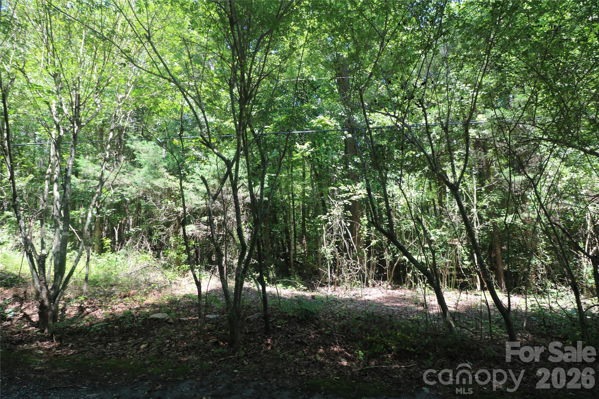 0 Shady Nook Circle