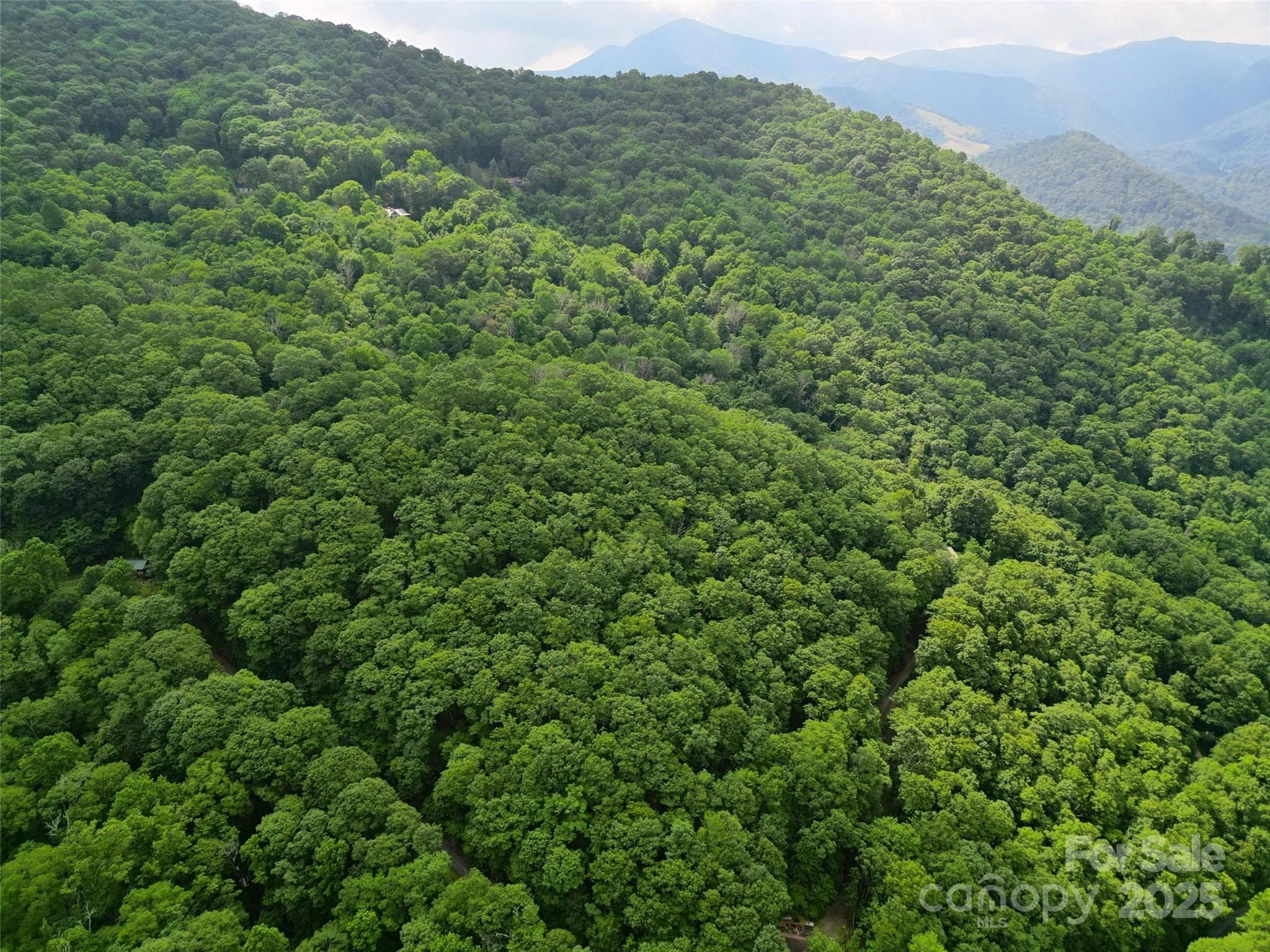 Dream Mountain - Land