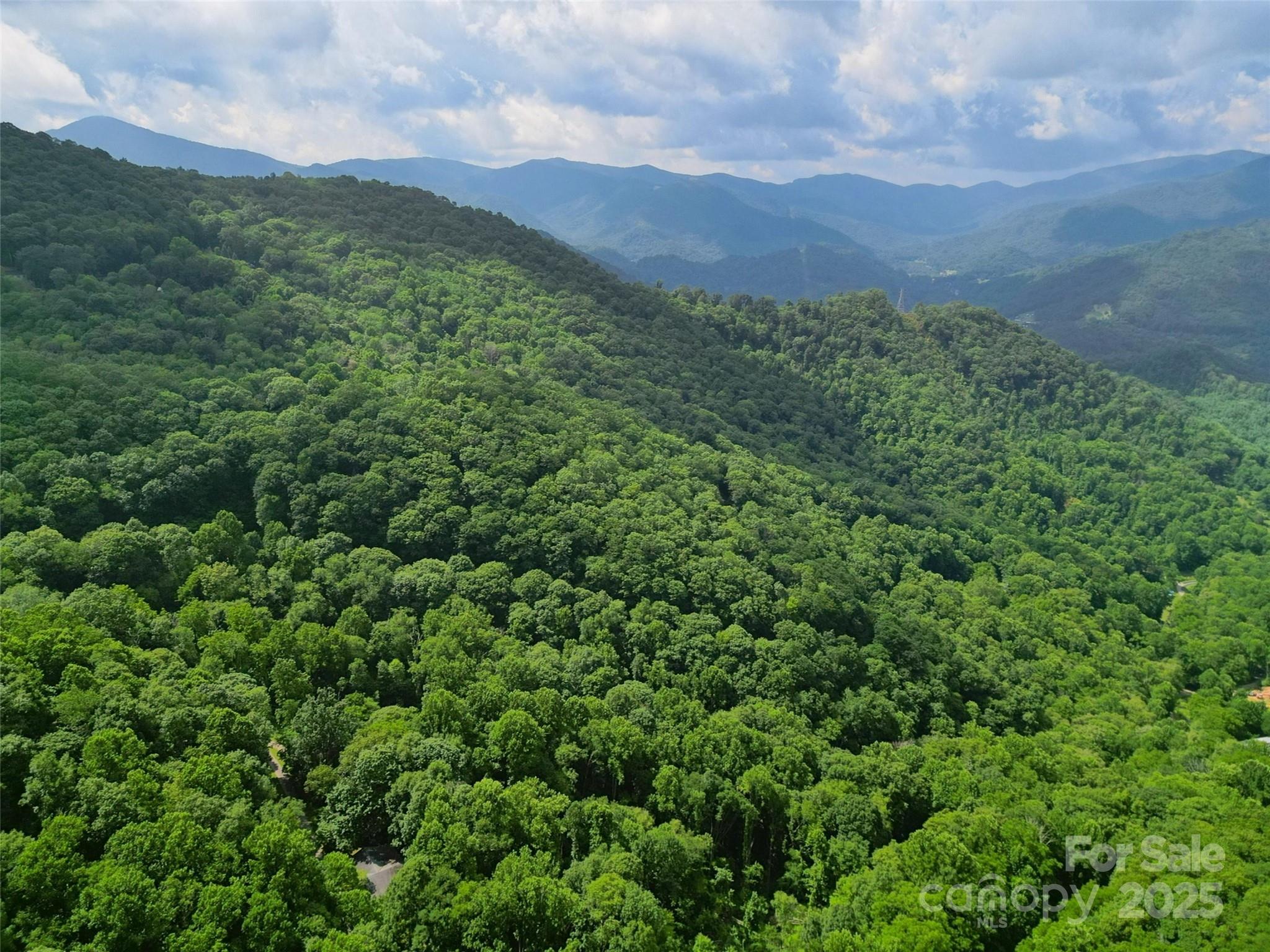 Dream Mountain - Land