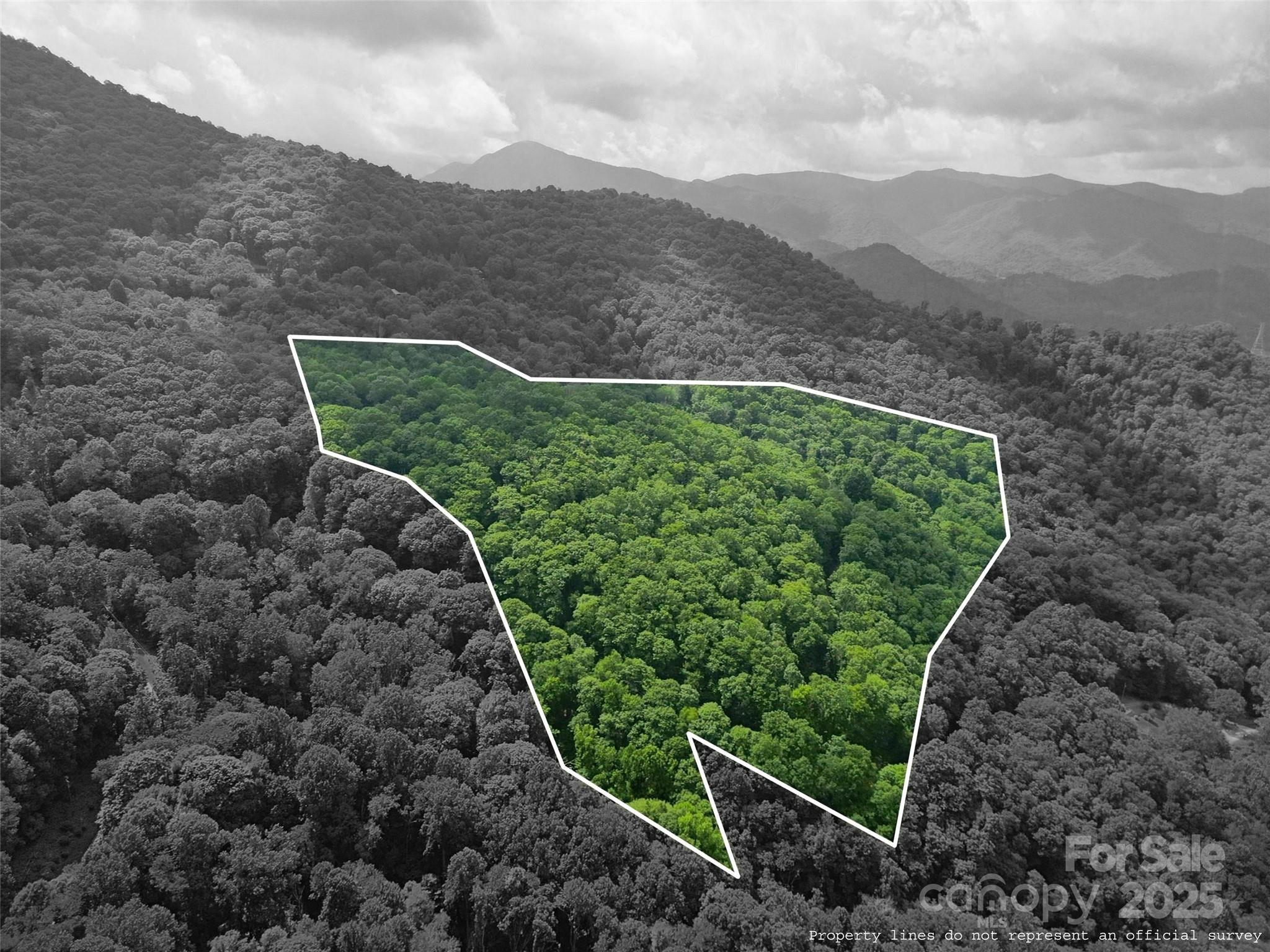 Dream Mountain - Land