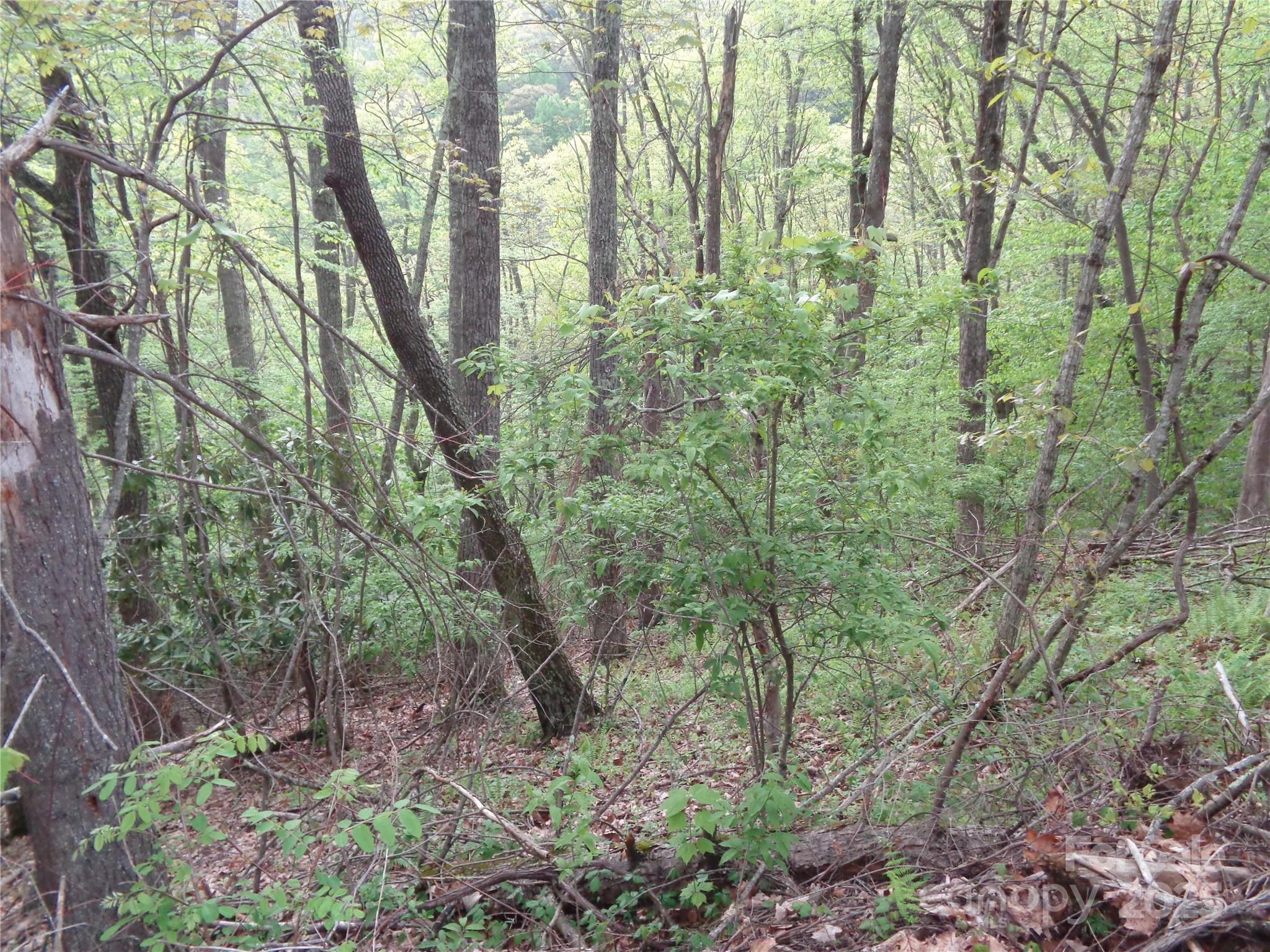 Dream Mountain - Land