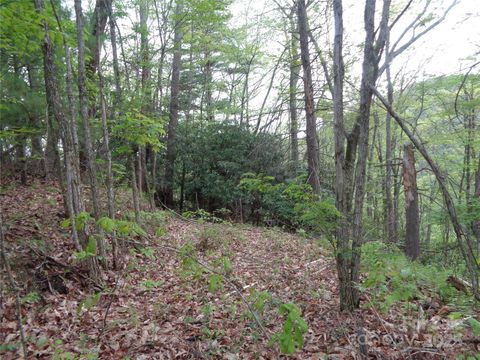 00 Promiseland Road Canton NC 28716