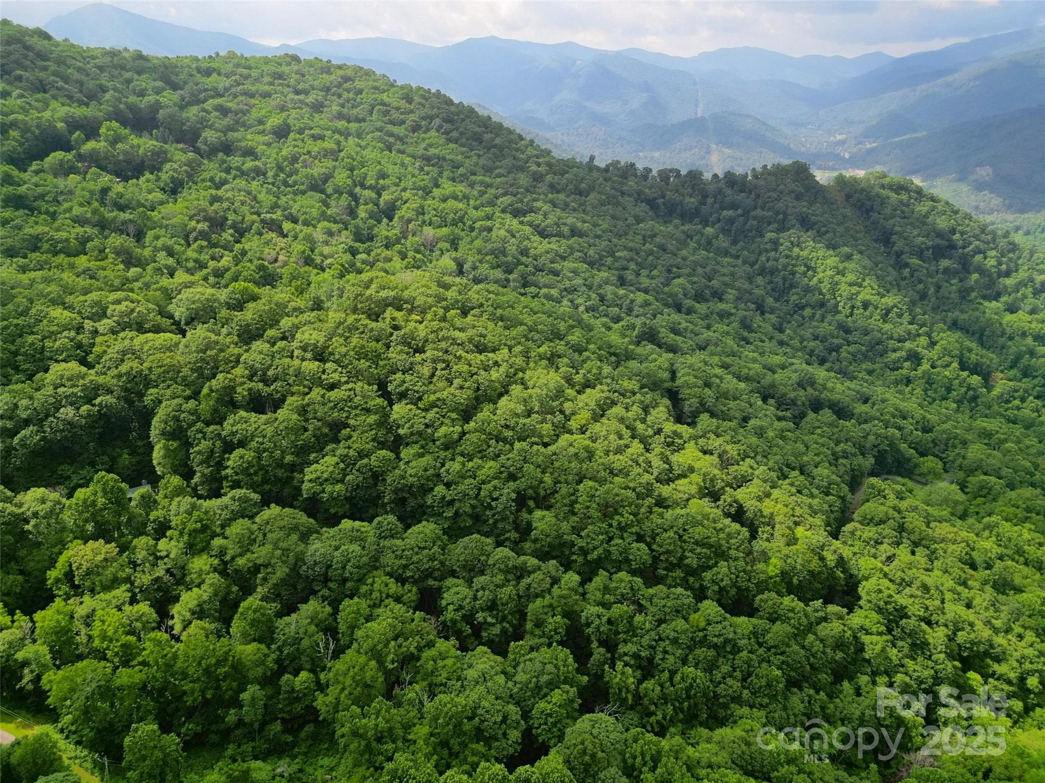 Dream Mountain - Land