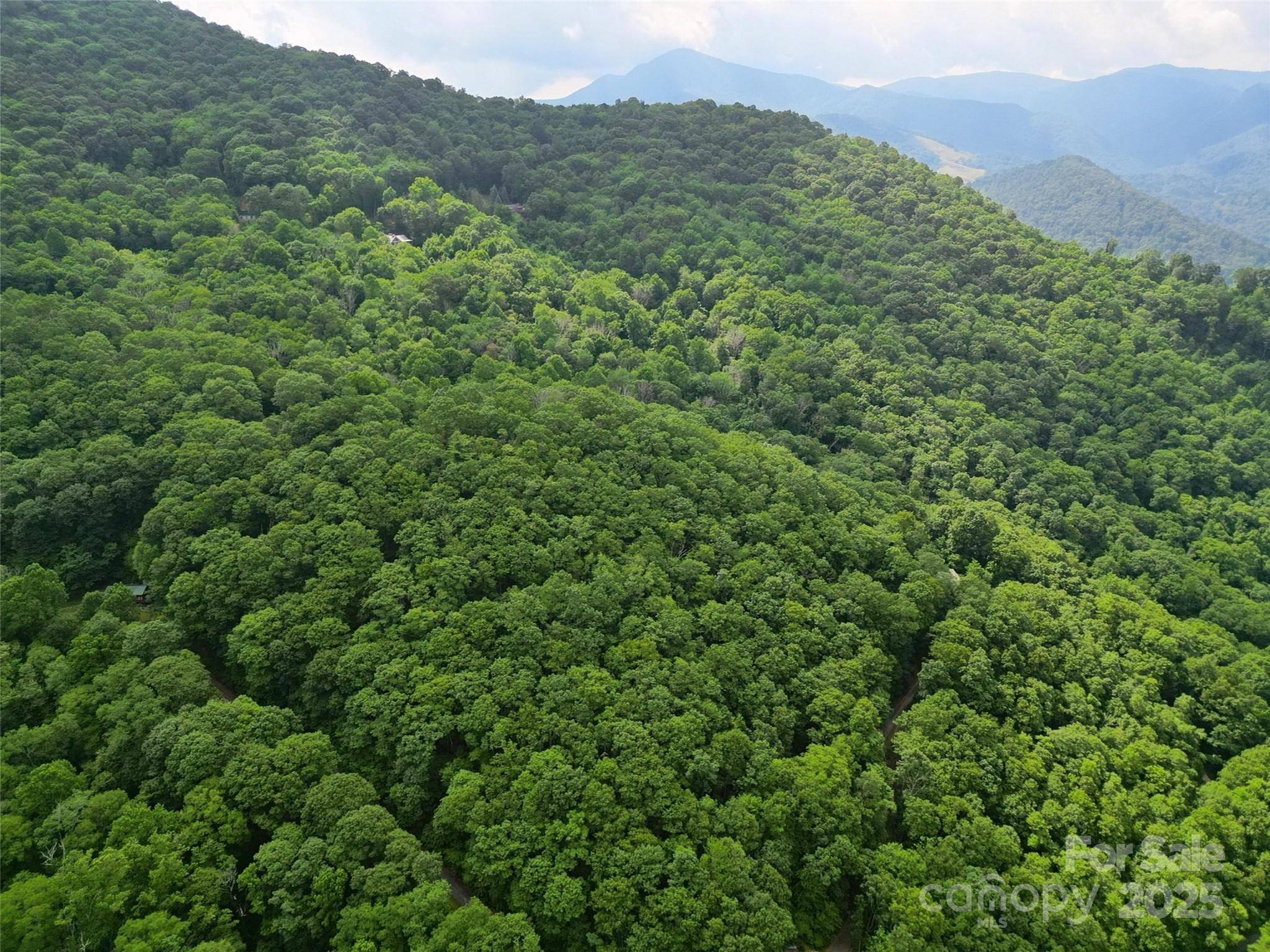 Dream Mountain - Land