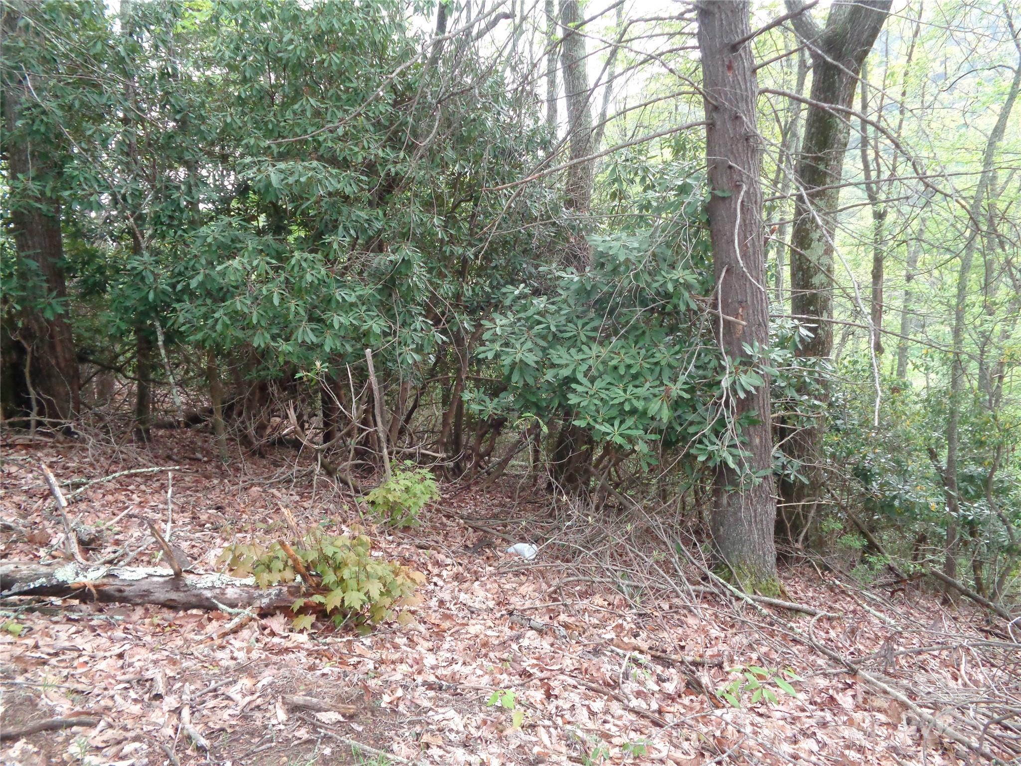 Dream Mountain - Land