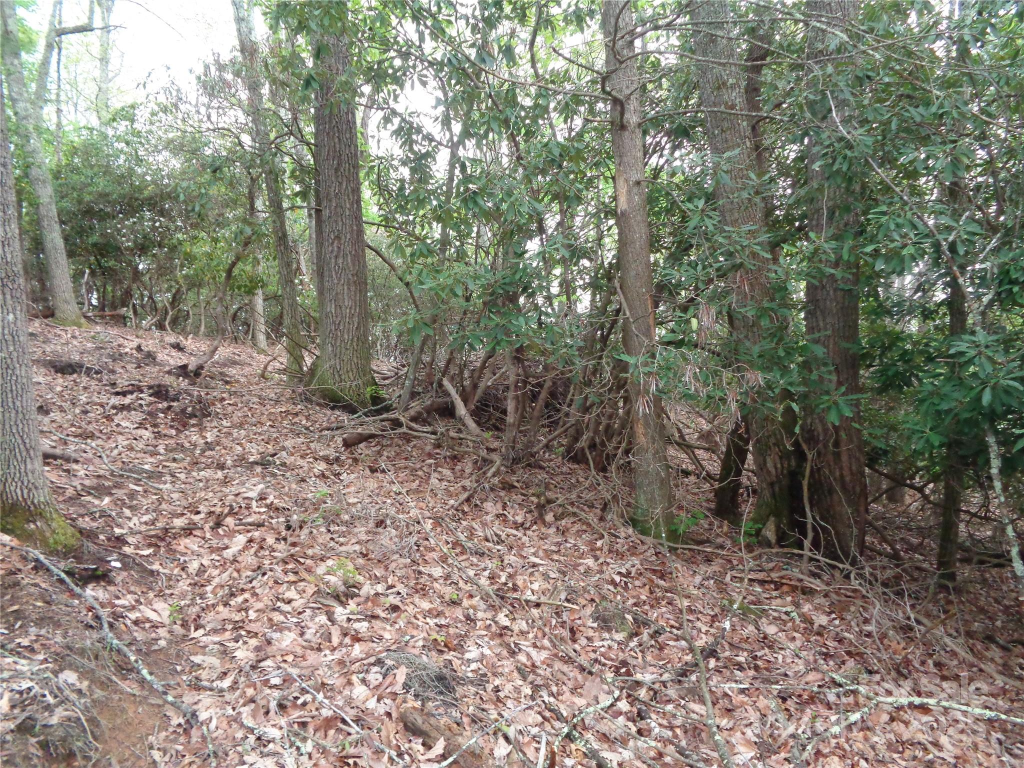 Dream Mountain - Land