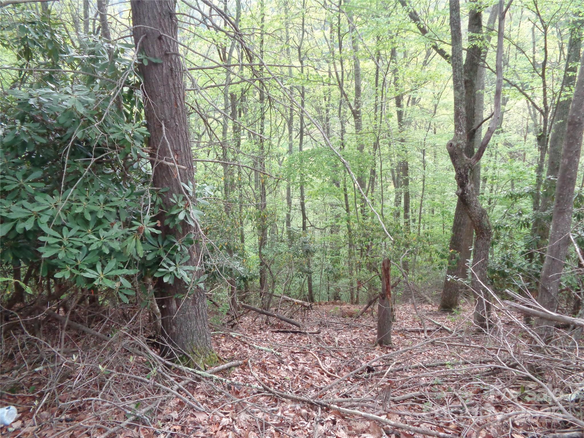 00 Promiseland Road