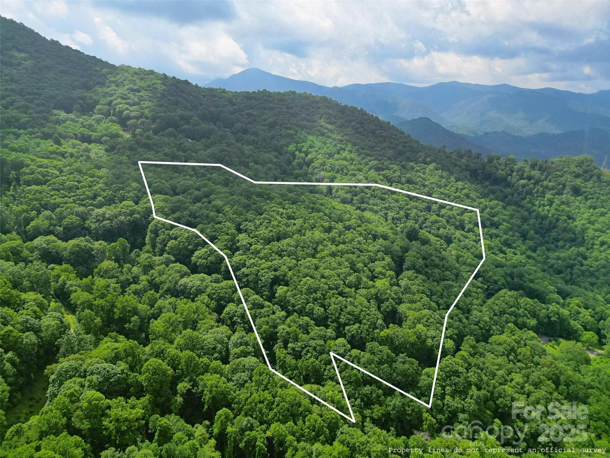 Dream Mountain - Land