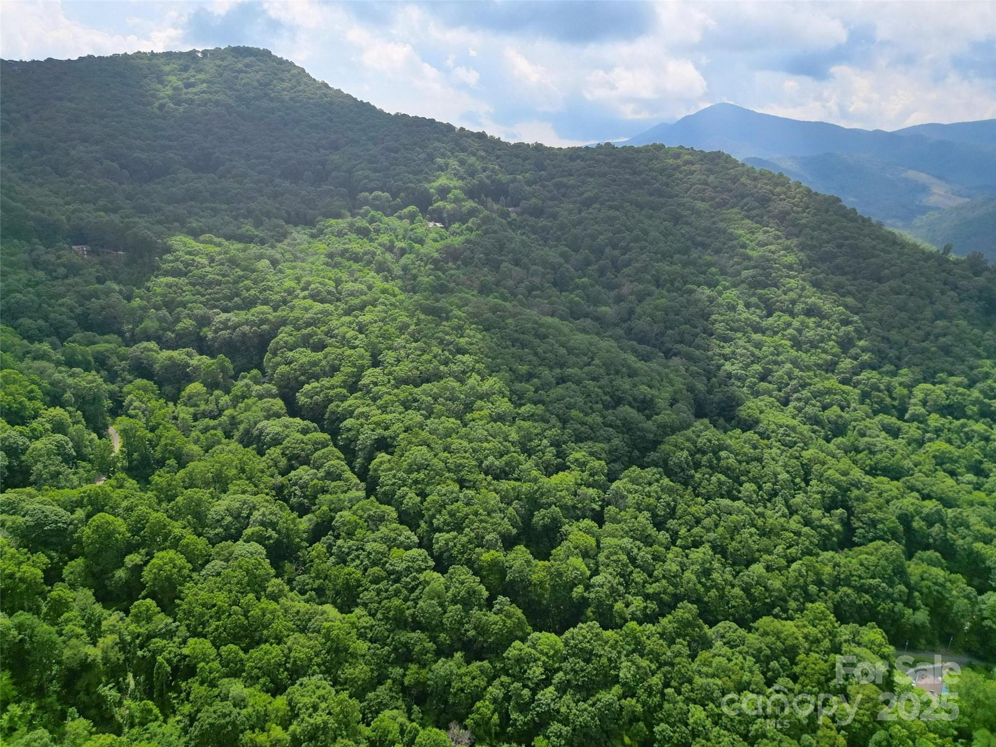 Dream Mountain - Land