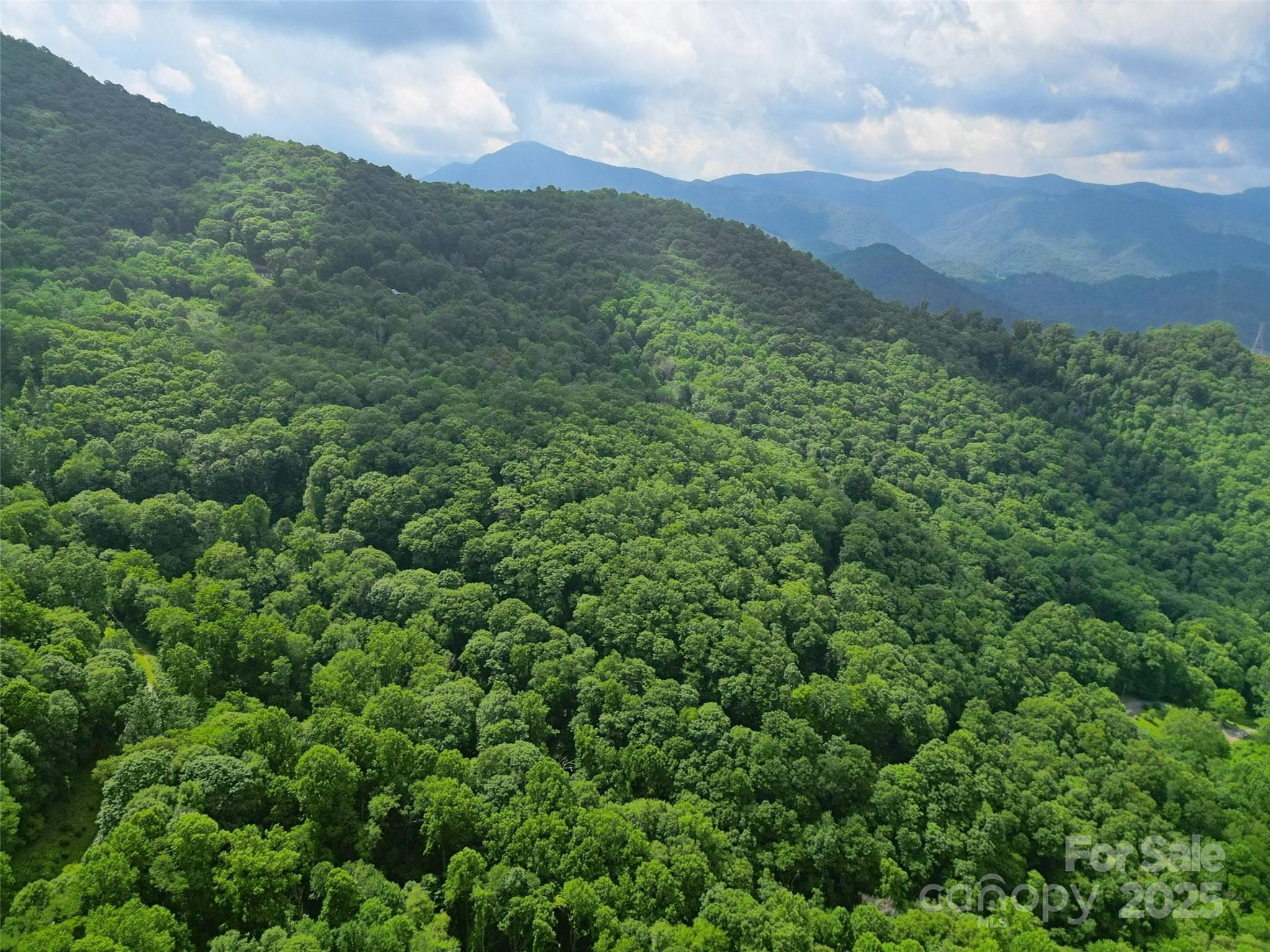 Dream Mountain - Land