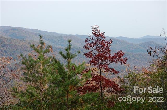 Lot 361 Hickory Nut Lane