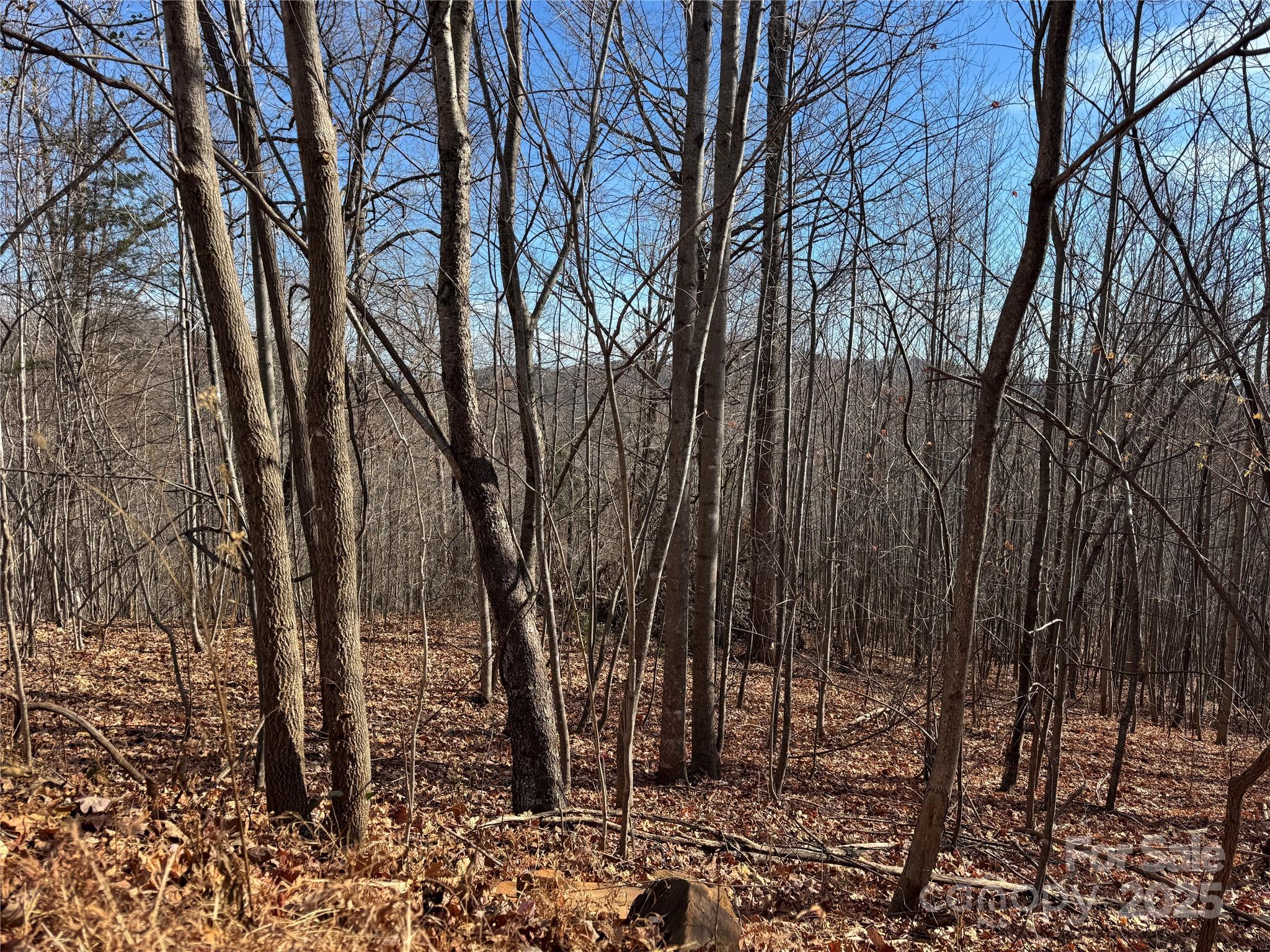 Rumbling Bald on Lake Lure - Land