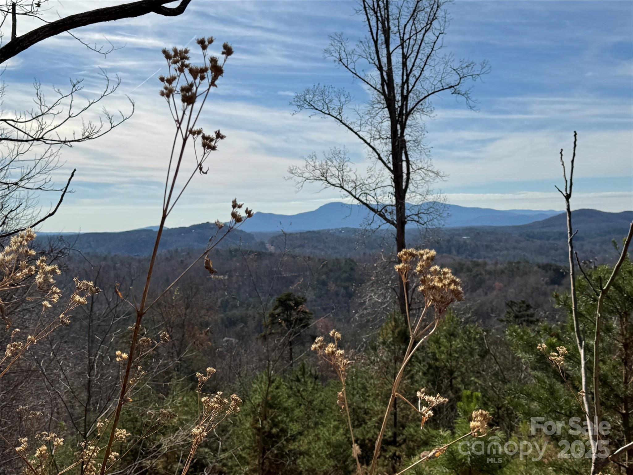 Rumbling Bald on Lake Lure - Land
