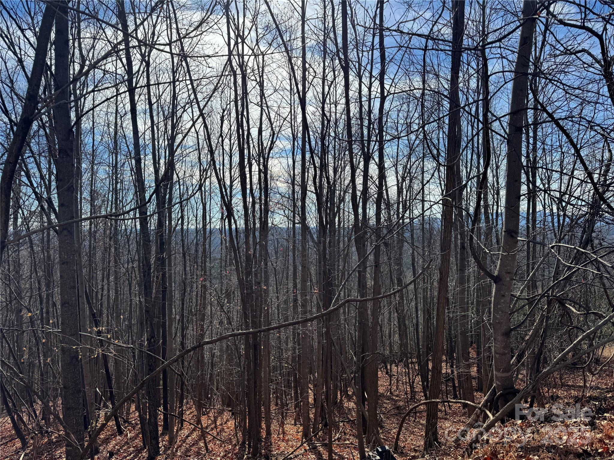 0 High Rock Ridge 22