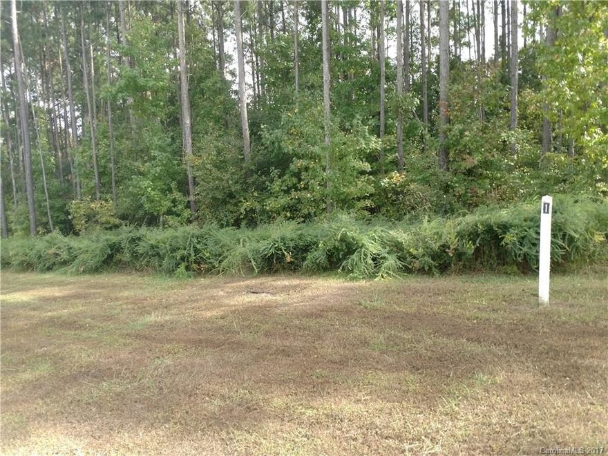 Beautiful interior lot in Marlin Bay Subdivision.   HOA is proposed but not active.  Proposed $100 annual dues.  1800 heated sq ft minimum with two car garage required.