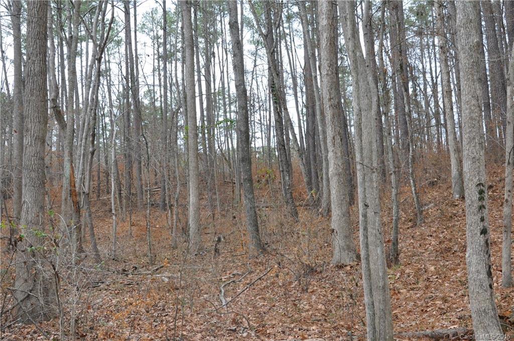 Mariners Bluff - Land