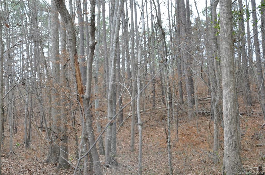 Mariners Bluff - Land