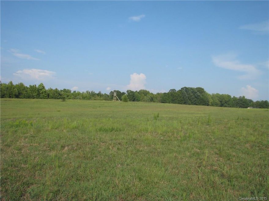 Level Hayfield with multiple homesites.  About 1-2 Acres of wooded land in the back and rest being cut for hay each year.  Surrounded by large parcels with residential homes across Old Limestone Rd.  Frontage is lined with native trees for some privacy.