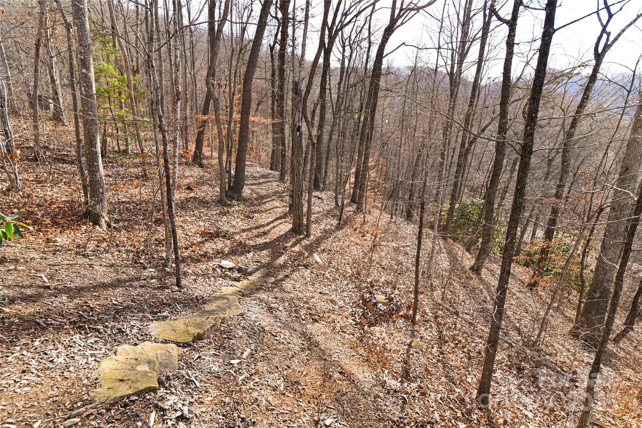 High Hickory - Residential