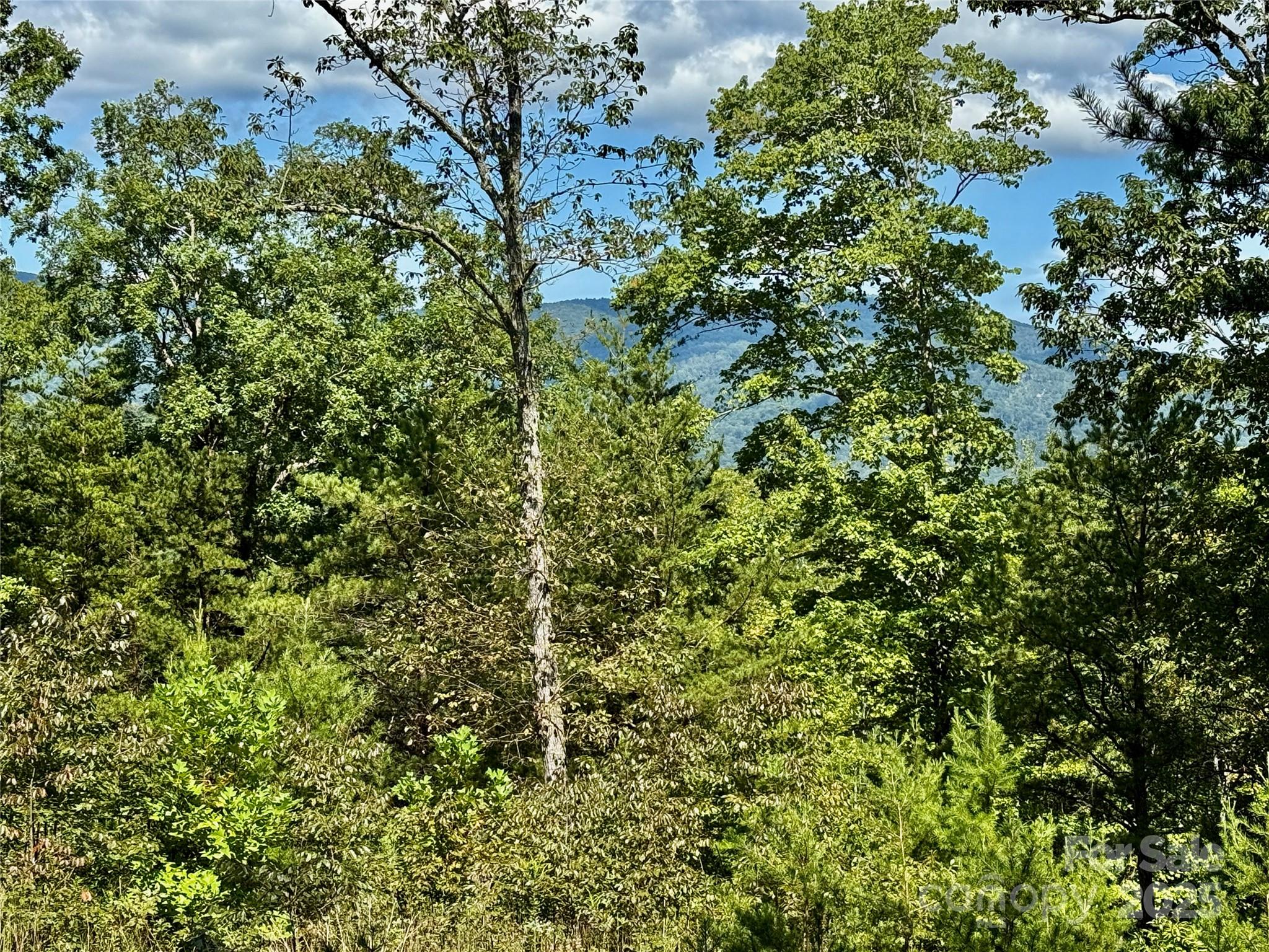 Rumbling Bald on Lake Lure - Land