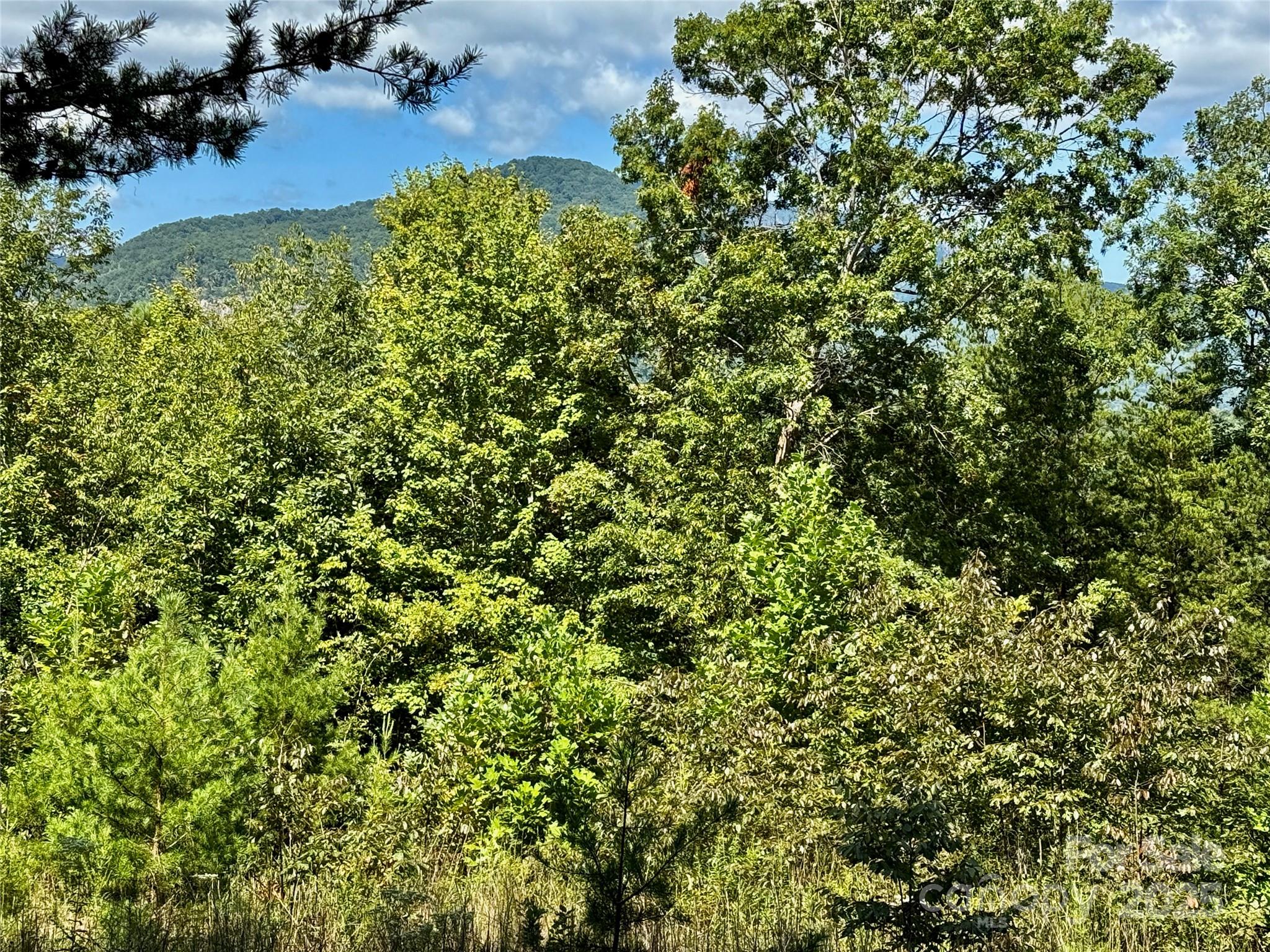 Rumbling Bald on Lake Lure - Land