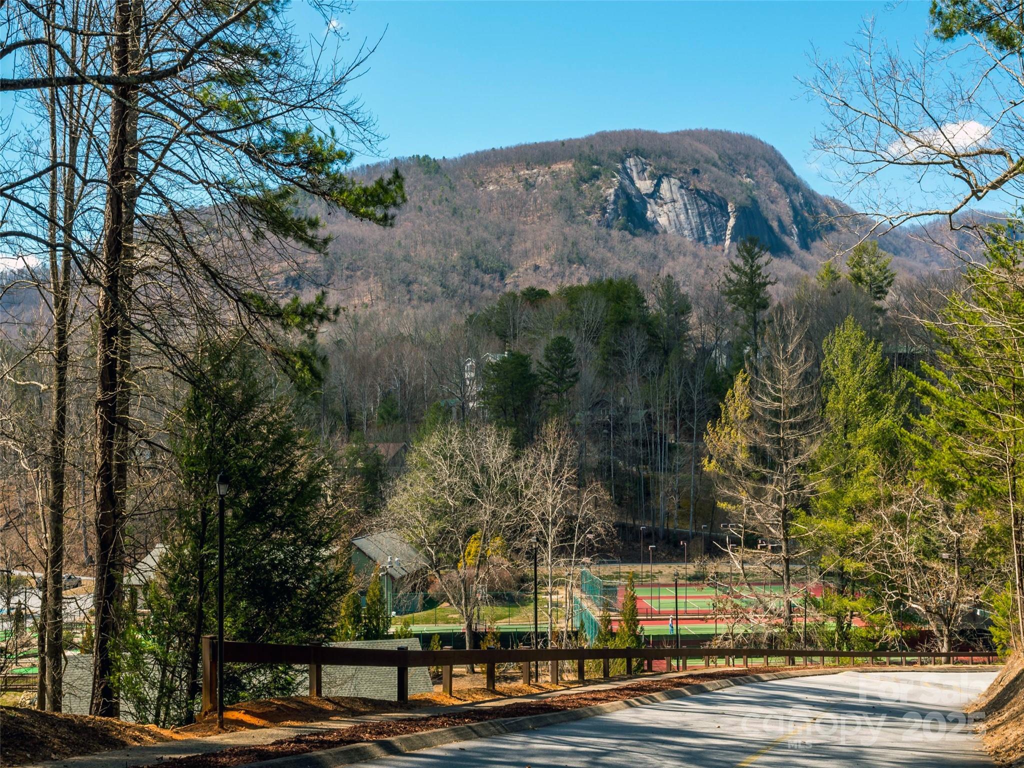 Rumbling Bald on Lake Lure - Land
