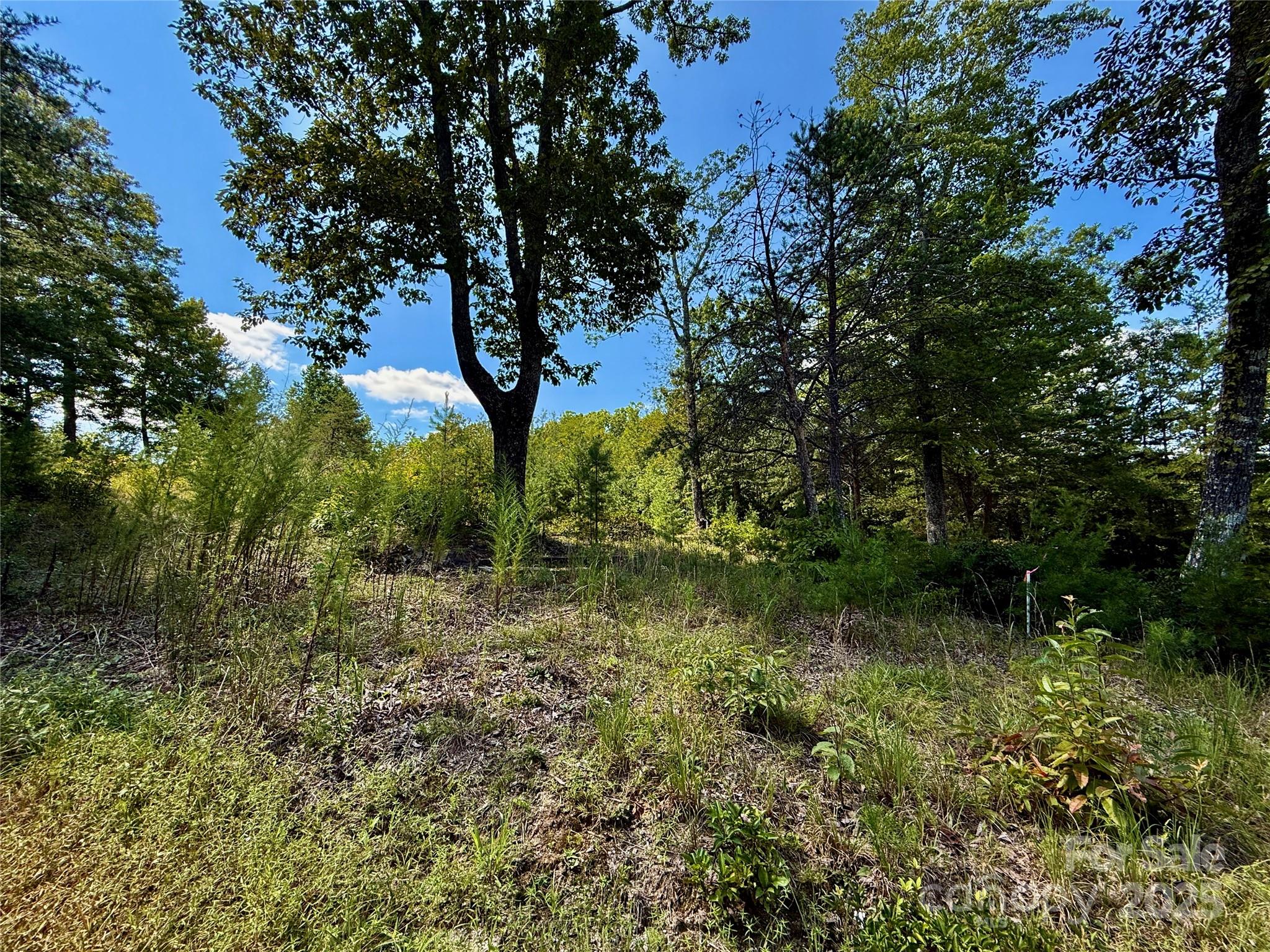 Rumbling Bald on Lake Lure - Land
