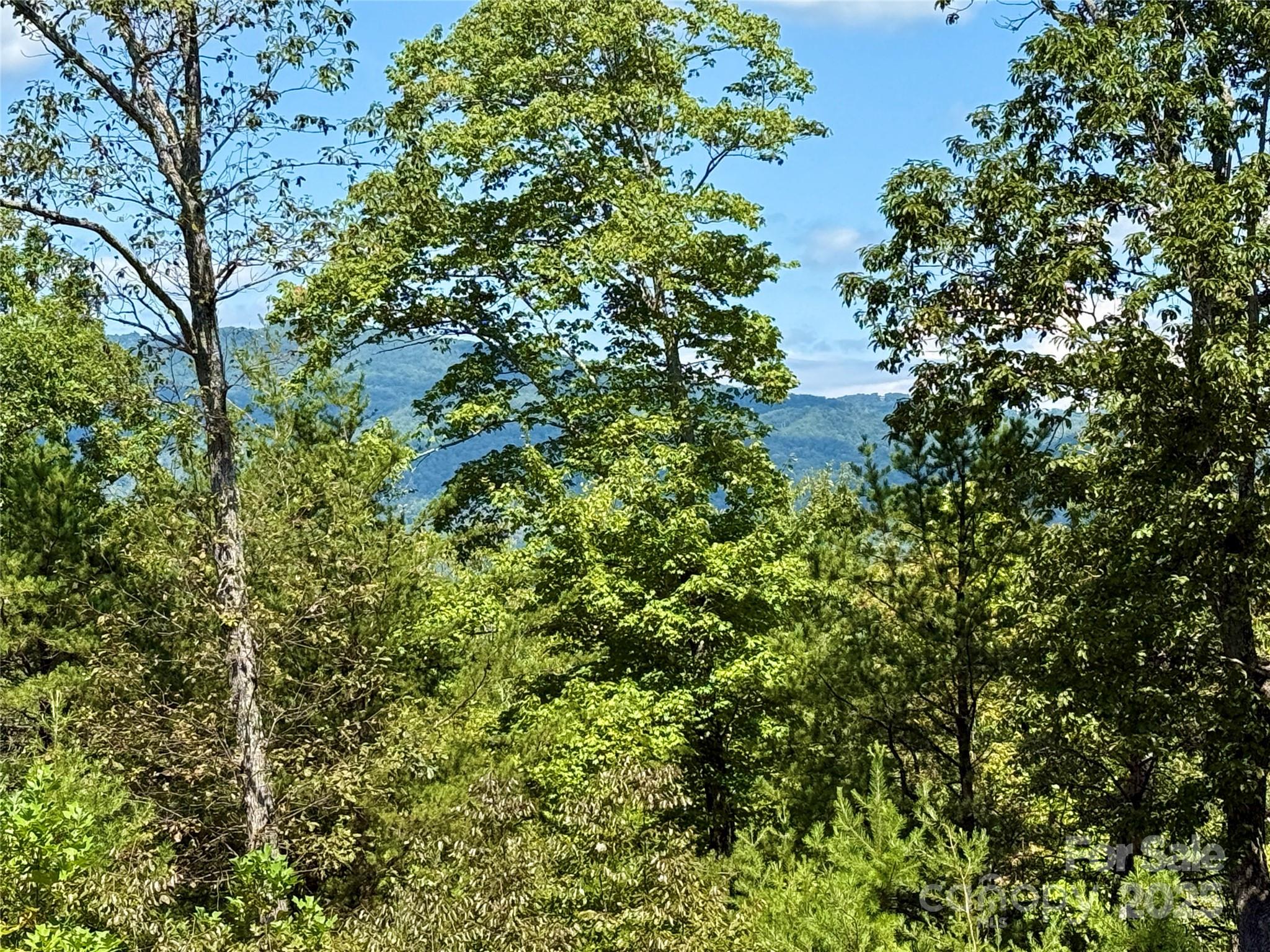 Rumbling Bald on Lake Lure - Land