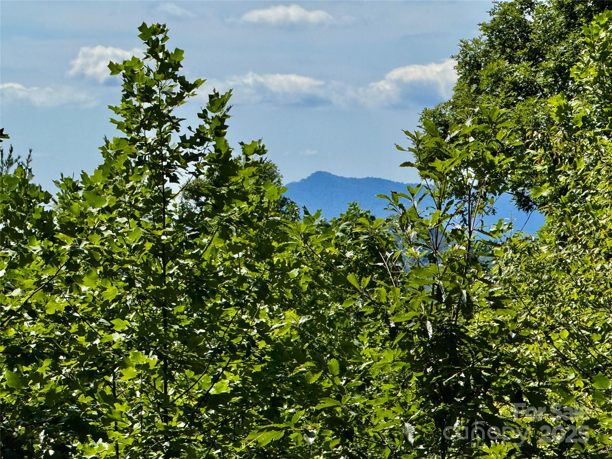 Rumbling Bald on Lake Lure - Land