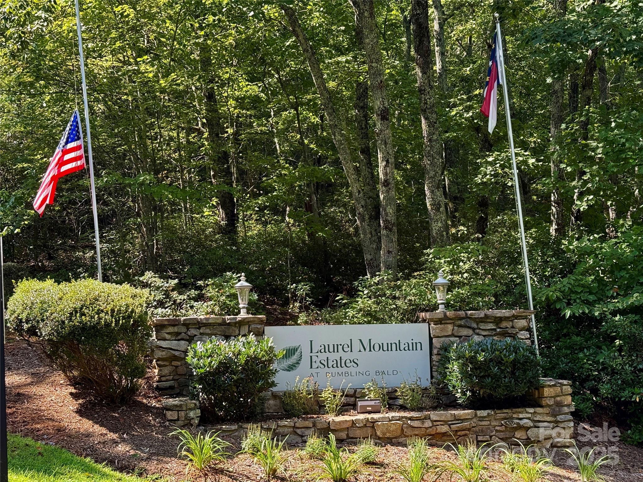 Rumbling Bald on Lake Lure - Land