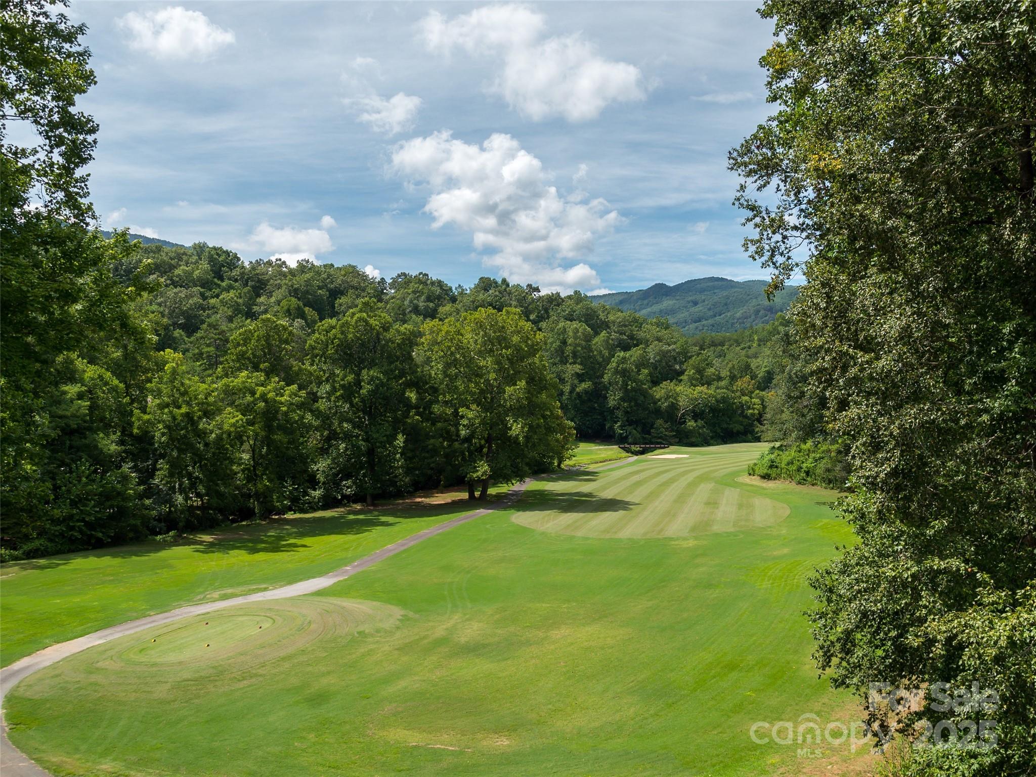 Rumbling Bald on Lake Lure - Land