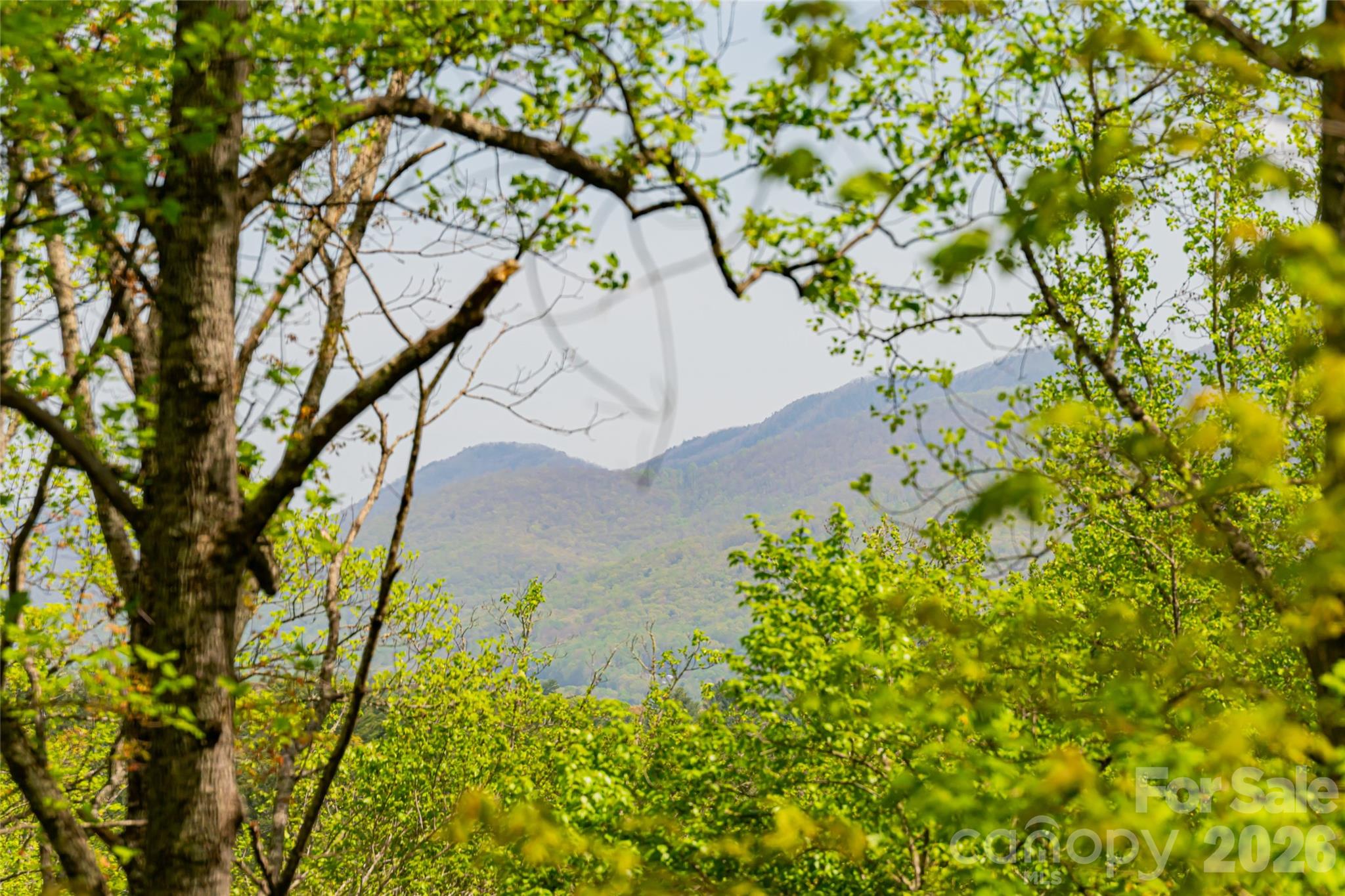 Sovereign Oaks - Residential