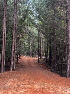 20125 OLD CONCORD RD, ALBEMARLE, NC 28001 - Image f4f564c798db5c2e817c7cac6cb45b33/874698434