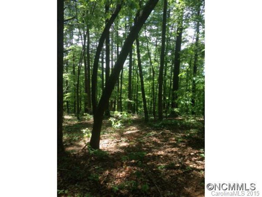 Minutes from Dupont State Forest!  Easy Build, Beautiful lot that is an easy stroll to the Hooker Falls parking area in Dupont!  Convenient to Brevard and Hendersonville.  Cool and calm wooded setting.  Expired 3 bedroom septic permit on file.  Agent related to seller.