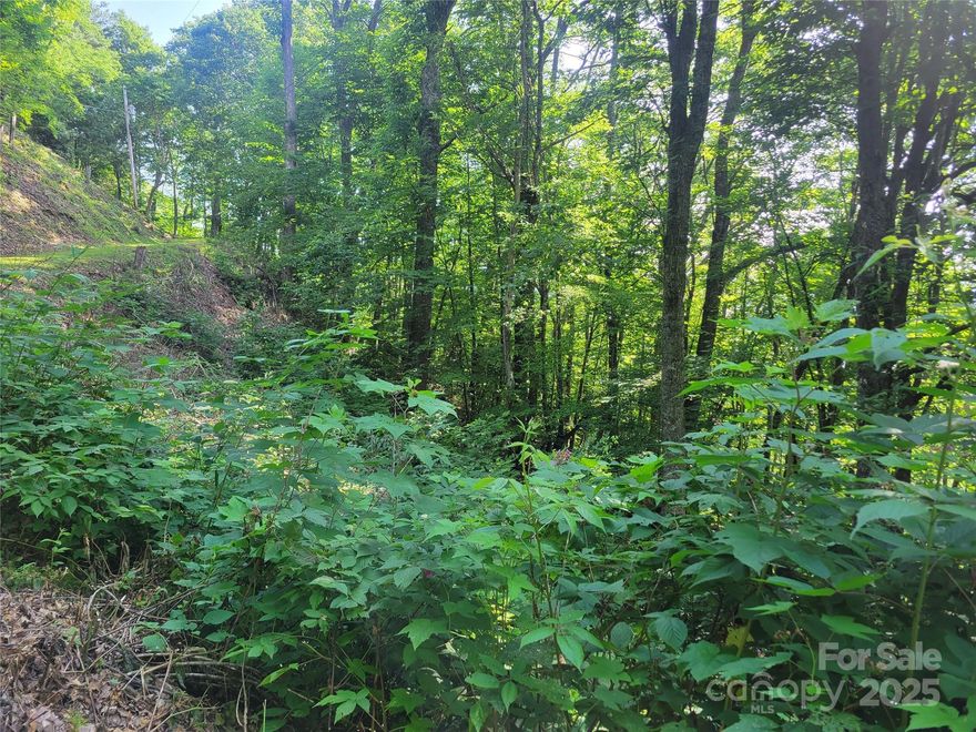 1.21 Acres Near Blue Ridge Parkway – View potential & 'End of the Road 'Privacy! Mountain retreat just 80 feet from protected Blue Ridge Parkway land. Conveniently located near Cataloochee Ski Resort and just 15 minutes from Harrah’s Cherokee Casino. Property Highlights: Prime Location – 1/2 mile to the Blue Ridge Parkway entry on Soco Rd for easy access. Build Your Dream Home—A portion of the lot is gently sloped for an ideal building site. A driveway can be designed to curve naturally to the homesite (see other neighboring properties for inspiration). Flexible Use – MFG, Modular, tents, campers. Vacation rentals are allowed. Don’t miss this incredible opportunity to own a piece of the Smoky Mountain wilderness with unbeatable proximity to top attractions! 4,300 Elevation.