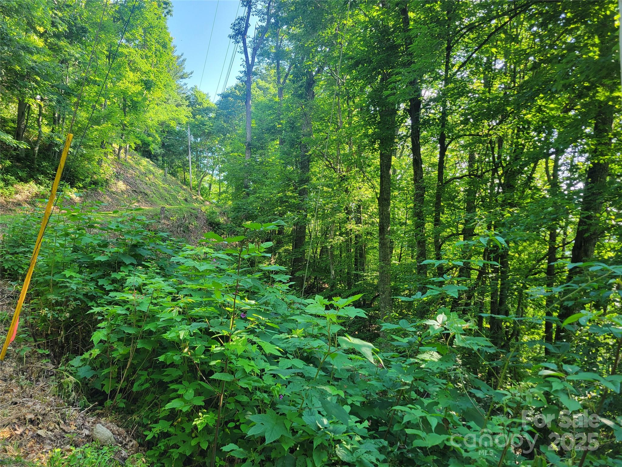 Valley View Estates - Land