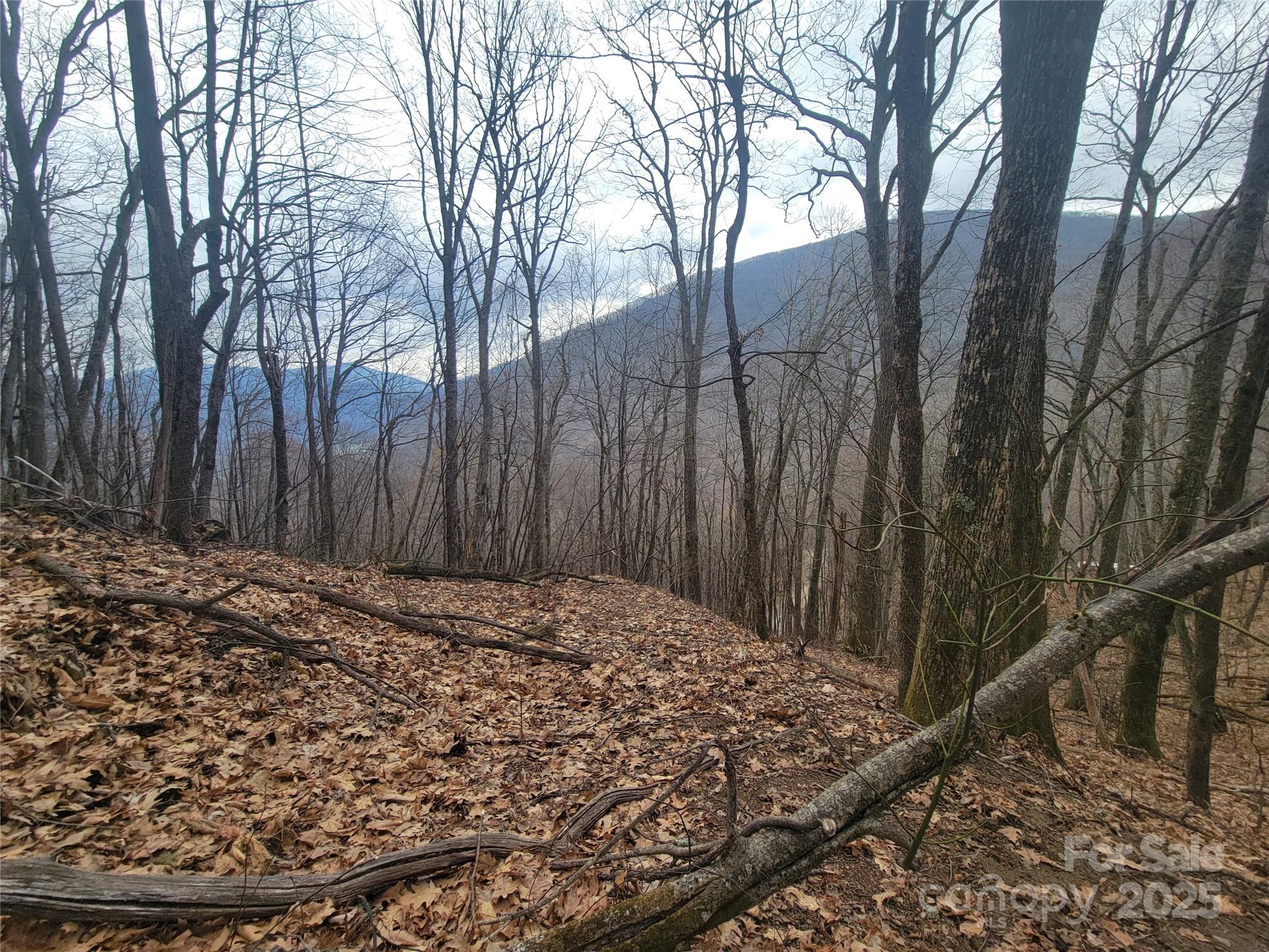 Valley View Estates - Land