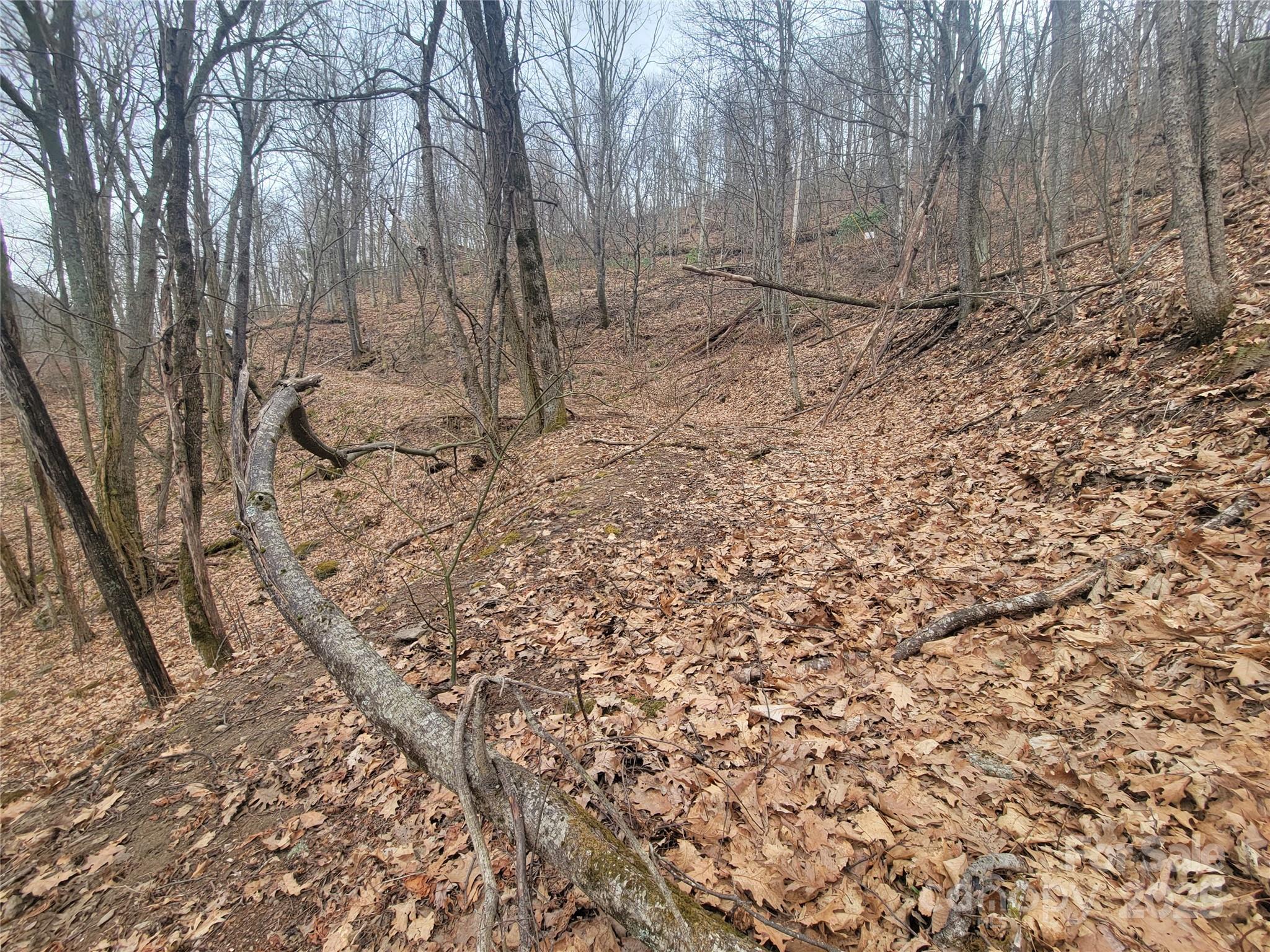 400 Mountain Laurel Road 57