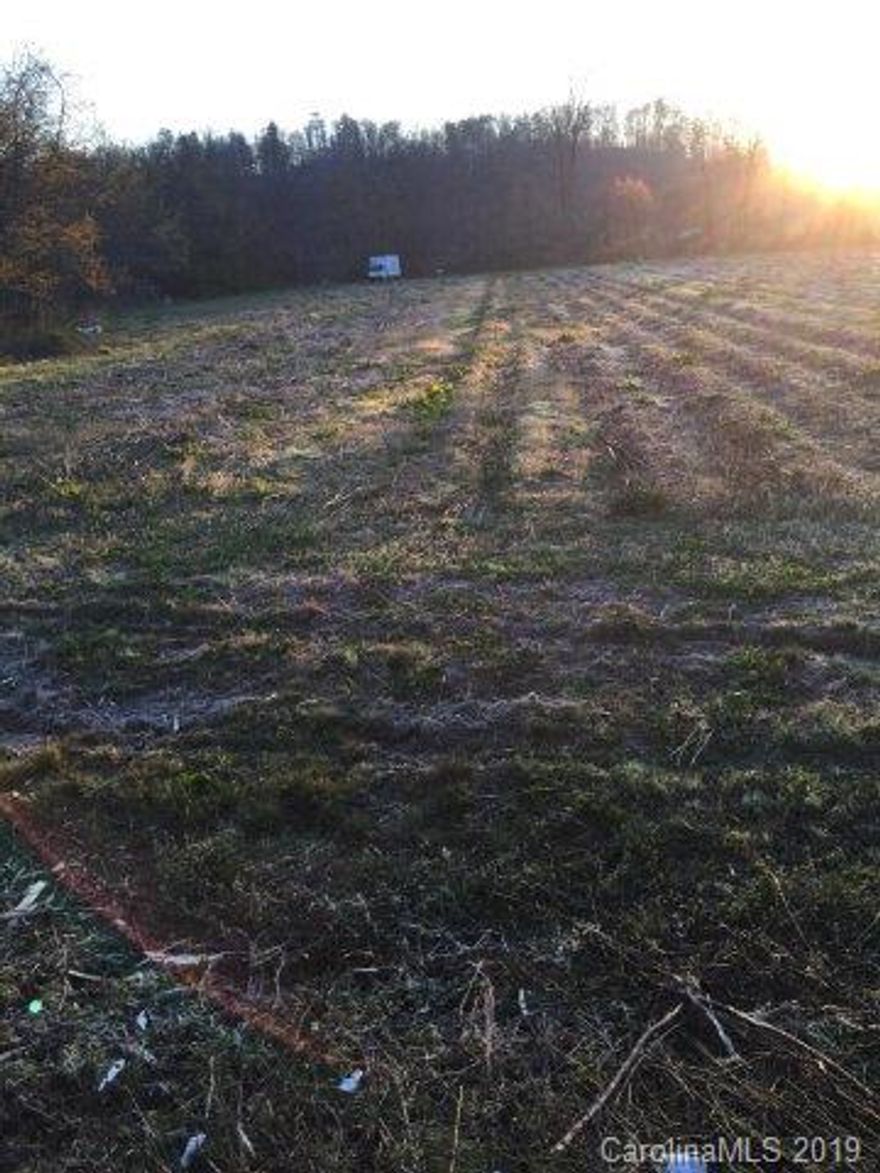 Beautiful level building lot, in a desirable area, bordering Buck Creek
