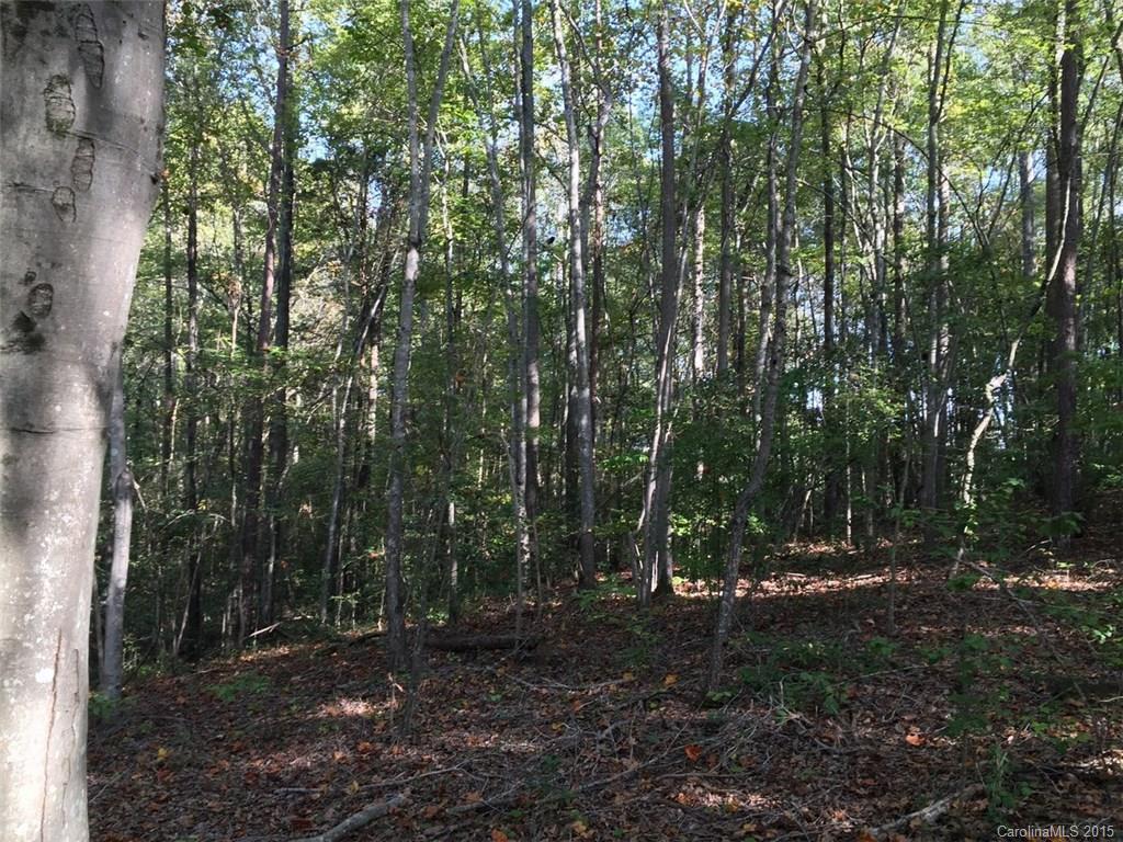 Stonebridge Crossing - Land