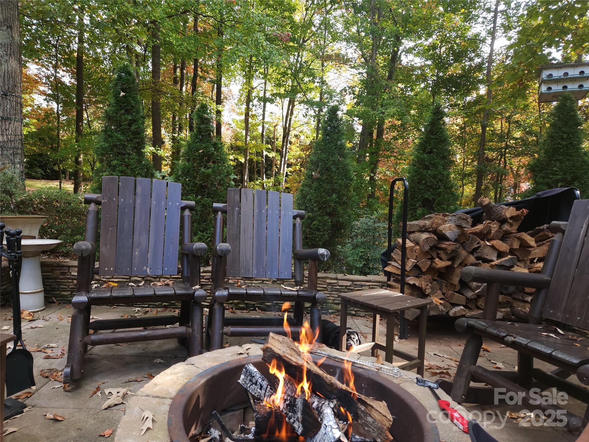 172 Tawny Bark Drive